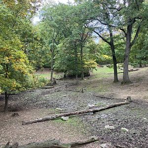 Wild Asia Monorail - Exhibit #8