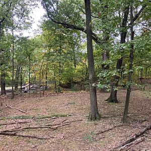 Wild Asia Monorail - Tufted Deer Exhibit