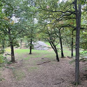 Wild Asia Monorail - Turkmenian Markhor/Himalayan Thar Exhibt
