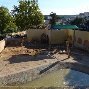 Elephant bull paddock