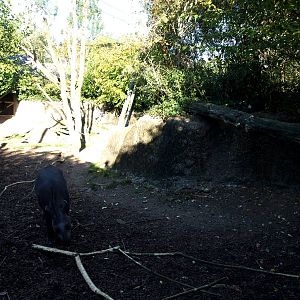 Odense Zoo - Oceanium