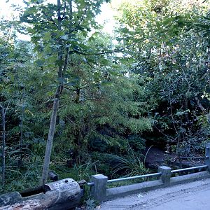 Odense Zoo - Oceanium