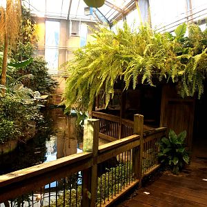 Odense Zoo - Oceanium