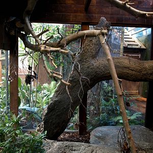 Odense Zoo - Oceanium