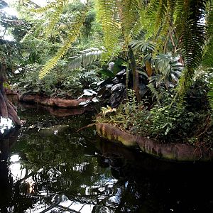 Odense Zoo - Oceanium