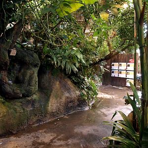 Odense Zoo - Oceanium