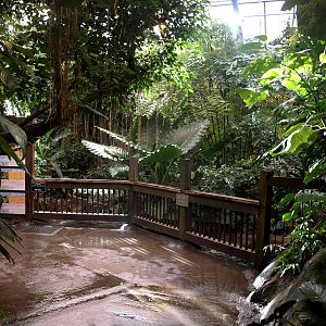 Odense Zoo - Oceanium