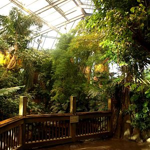 Odense Zoo - Oceanium