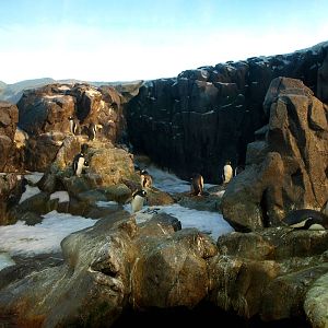 Odense Zoo - Oceanium