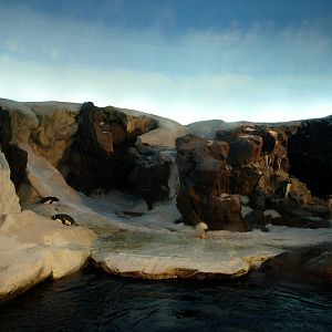 Odense Zoo - Oceanium