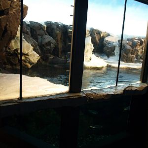 Odense Zoo - Oceanium