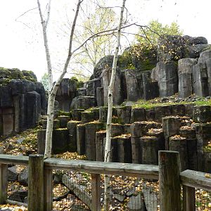 Rocky Mountain Goat Exhibit