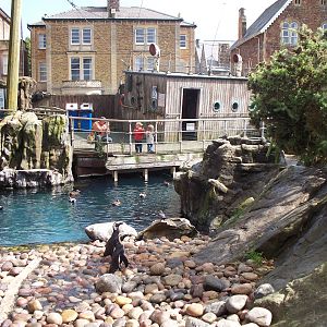 Penguin enclosure.
