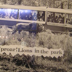 Longleat Nostalgia