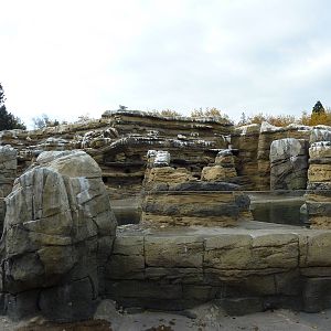 Humboldt Penguin Exhibit