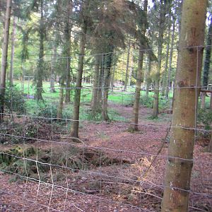 Site of Wolf Enclosure