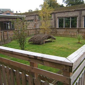 New Sulcatta Tortoise enclosure