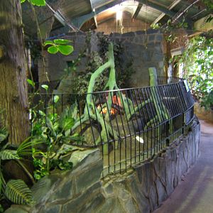 View inside Reptile House