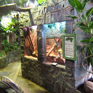 View inside Reptile House