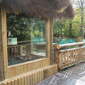 Red-footed Tortoise House