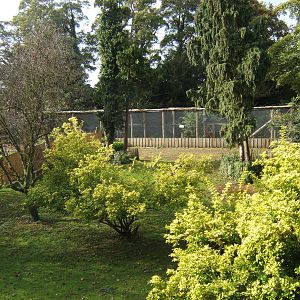 Part of the old Bird garden that you can no longer get to