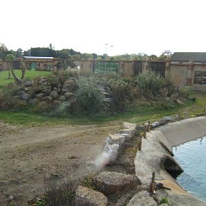 View of Lion Enclosure