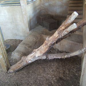 View inside Lion House