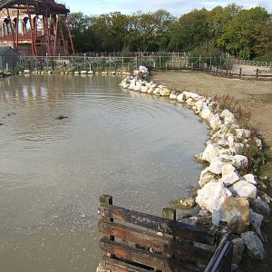 Hippo enclosure