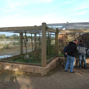 Outdoor part of the Rodrigues Bat Enclosure