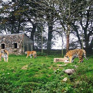 Definitely not the Giraffe Enclosure