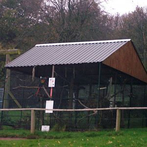 Macaw aviaries