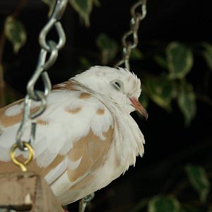 Bird Kingdom Visit - August 16th, 2009