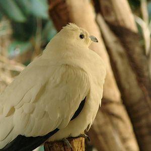 Bird Kingdom Visit - August 16th, 2009