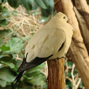 Bird Kingdom Visit - August 16th, 2009