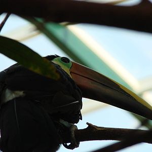 Bird Kingdom Visit - August 16th, 2009