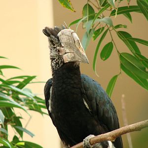 Bird Kingdom Visit - August 16th, 2009