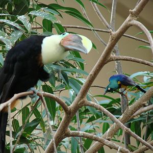 Bird Kingdom Visit - August 16th, 2009