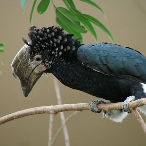 Bird Kingdom Visit - August 16th, 2009