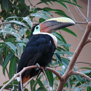 Bird Kingdom Visit - August 16th, 2009