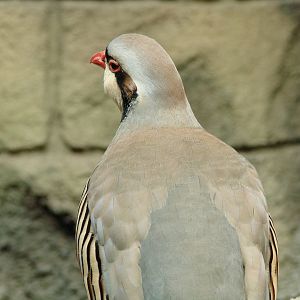 Bird Kingdom Visit - August 16th, 2009