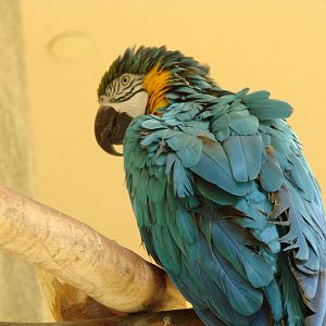 Bird Kingdom Visit - August 16th, 2009