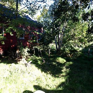 Odense Zoo - Pudu exhibit