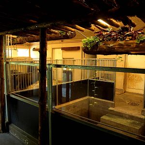 Odense Zoo - South America House