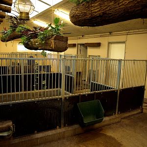 Odense Zoo - South America House