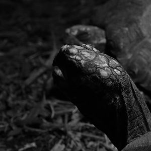 Bird Kingdom Visit - August 16th, 2009