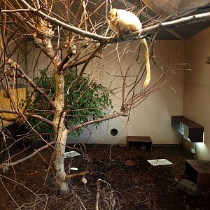 Odense Zoo - South America House