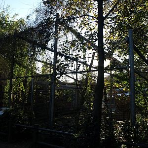 Odense Zoo - Macaw aviary