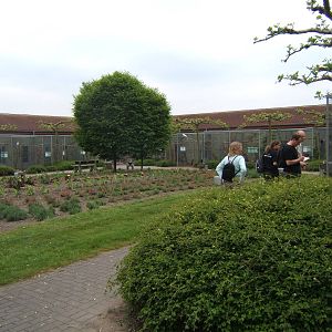 View of Australian Aviarys