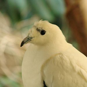 Bird Kingdom Visit - August 16th, 2009