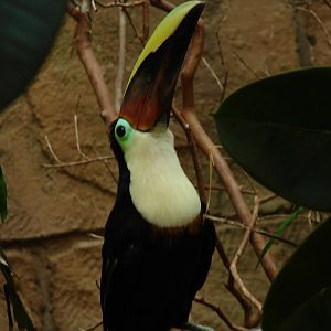 Bird Kingdom Visit - August 16th, 2009